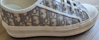 Dior Walk'n'Dior Sneakers Beige/Gris