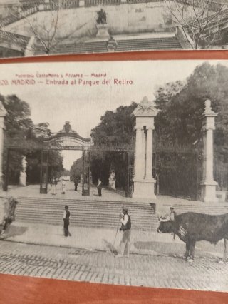 Lote Tarjetas Postales Antiguas Madrid