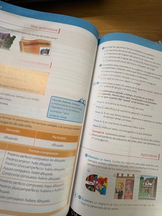 Lengua, 6 Primaria: Contiene Primer trimestre, ...