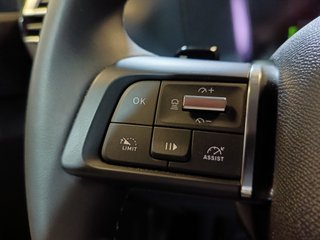 Citroen C4 X PTECH 130 EAT8 MAX