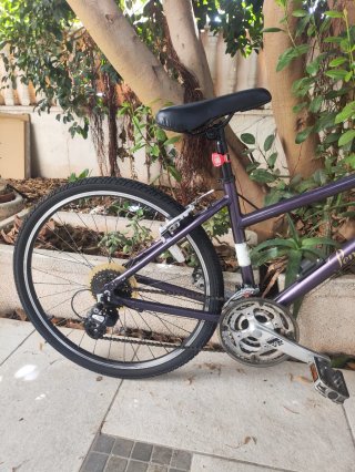 Bicicleta de paseo