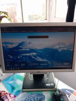 Monitor LCD Acer AL1916W da 19 pollici