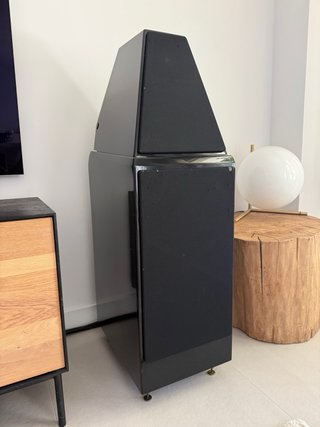 Altavoces Wilson Audio WATT/Puppy Series 8 y cable