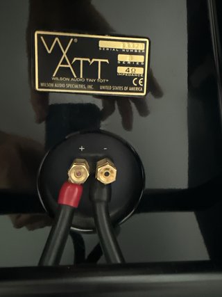Altavoces Wilson Audio WATT/Puppy Series 8 y cable