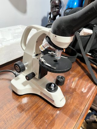 Microscopio Óptika B-20 Ensamblado en Italia