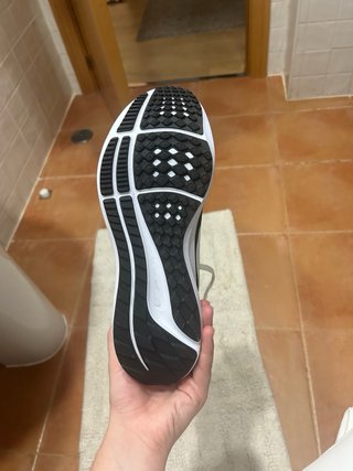 Zapatillas Nike Pegasus 40