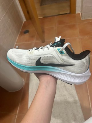 Zapatillas Nike Pegasus 40