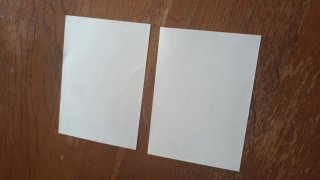 2 Cartoline Postali Nuove