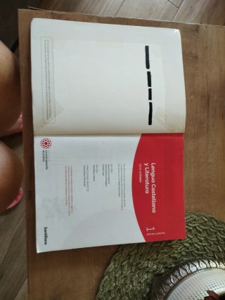 Lengua castellana y literatura 1 Bachillerato