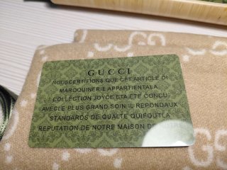 Sciarpa Gucci Beige e Bianca