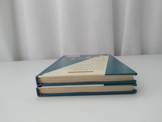 Pack 2 Libros Equipo Tigre (Thomas Brezina) - SM