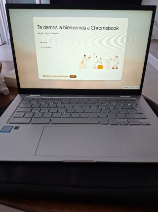 Chromebook Asus Plata