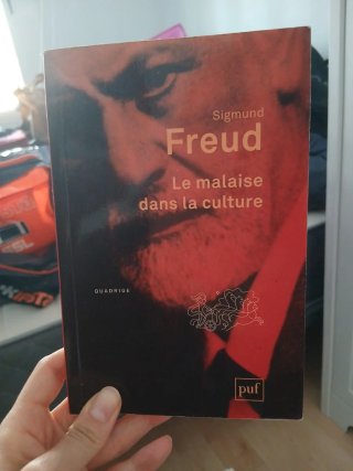 Le malaise dans le culture