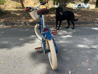 Bicicleta Infantil BTWIN 16 ALU 16
