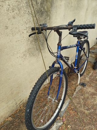 Bicicleta Globe Trotter Azul