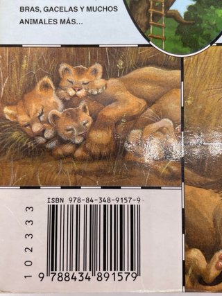 ¿Dónde están los leones?