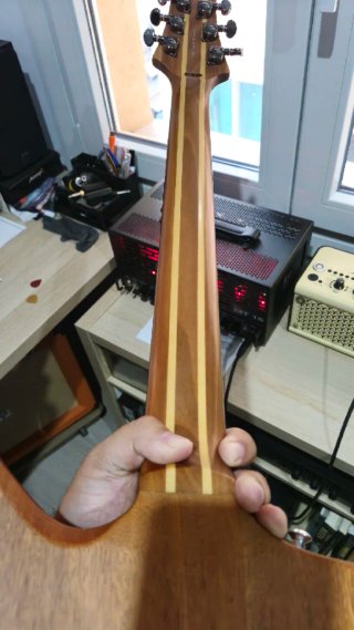 Guitarra ESP LTD FX400SM