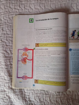 Conocimiento del medio 6º Primaria SM