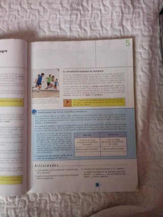 Conocimiento del medio 6º Primaria SM