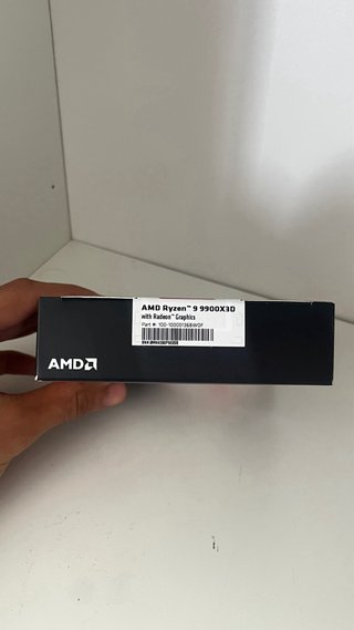 AMD Ryzen 9 9900X3D