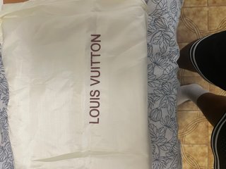 Zapatos LV SKATE