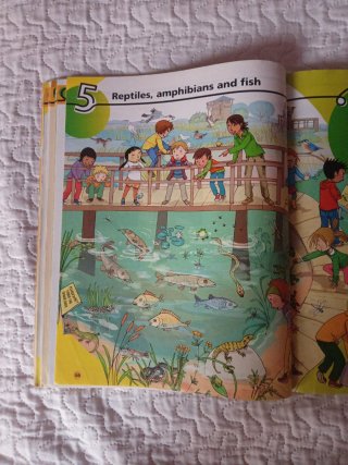 Natural Science, Primary 3 By Me