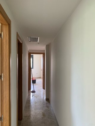 Se ofrece pintor