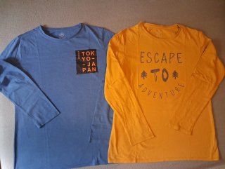 Lote Ropa Deportiva Niño 11-12 Años.