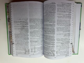 Manual griego clásico-español diccionario bilin...