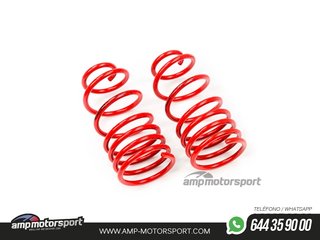 MUELLES DEPORTIVOS MTS TECHNIK MTSXSE132