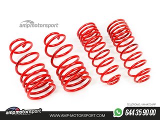 MUELLES DEPORTIVOS MTS TECHNIK MTSXFI003
