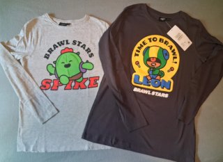 Lote 4 Camisetas y Sudadera 13-14 años.