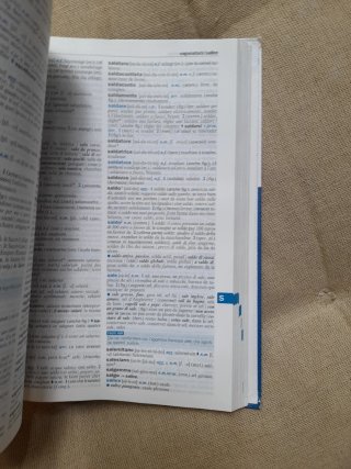 Dizionario di francese