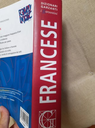 Dizionario di francese
