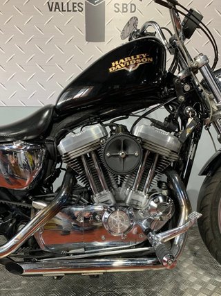 Harley Davidson Sportster 883 Low