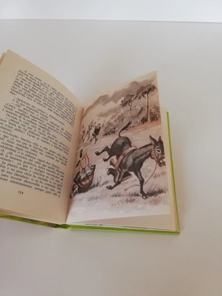 Don Quijote de la Mancha