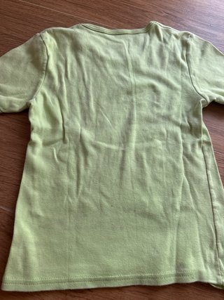 Magliattina verde