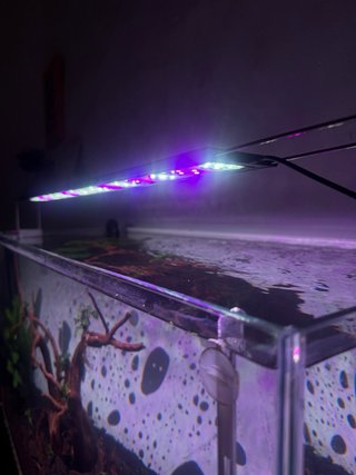 Pantalla led acuario