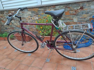 Bicicleta Atala Country Morada