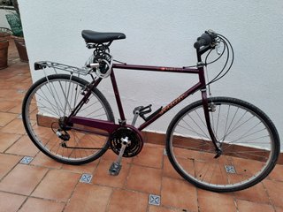Bicicleta Atala Country Morada