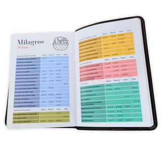 Biblia RVR60 tamaño compacto Letra Grande