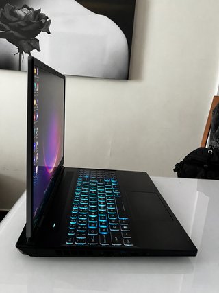 Acer Predator Helios Neo 16 PHN16-71