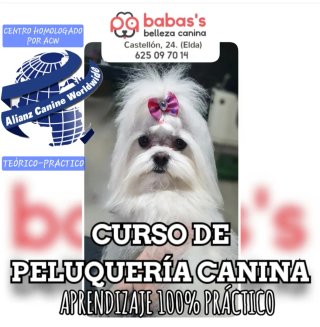 Curso Peluquería Canina en Elda