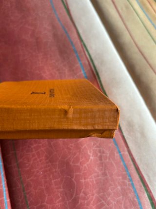 Funda Pasaporte LV Azul