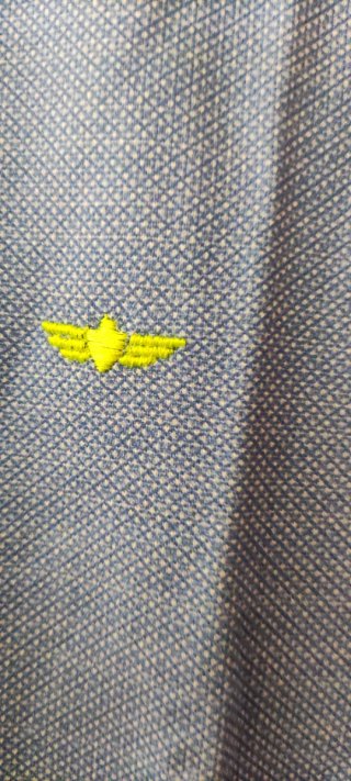 Polo PASSAPORT azul marino con estampado