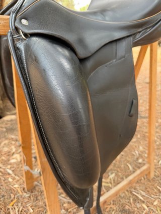 Montura Custom Segunda Mano