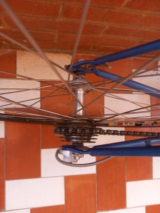 Orbea Vitus 181 Aluminio Ligero Campagnolo