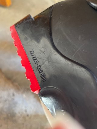 Botas esqui