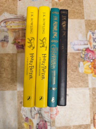 Lote Especial Harry Potter 1