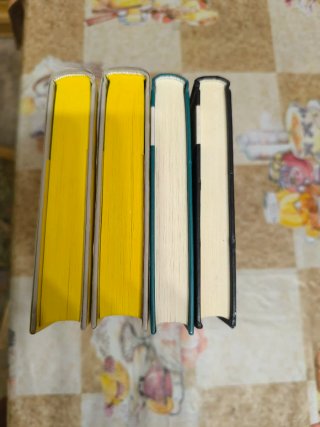 Lote Especial Harry Potter 1